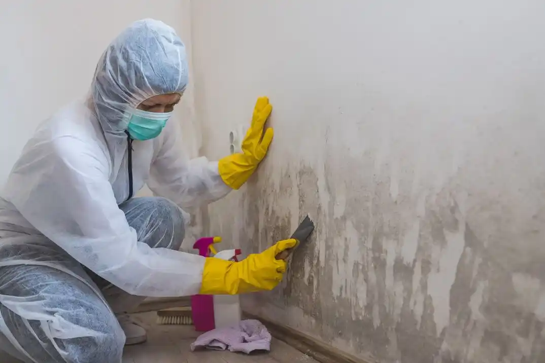 water damage restoration service Armijo Lateral